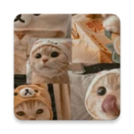 Logo of Cute Cat Wallpaper android Application 