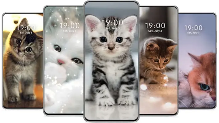 Cute Cat Wallpaper android App screenshot 1