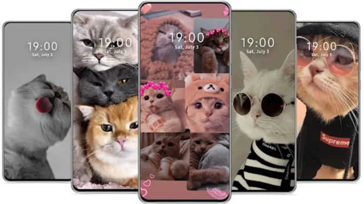 Cute Cat Wallpaper android App screenshot 3